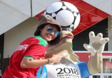 لجنة النقل المحلية لتنظيم كأس العالم 2018 في روسيا