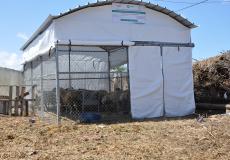 العمل الزراعي