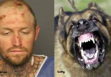 صورة للرجل والكلب 