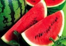 كيف تختار بطيخة حمراء