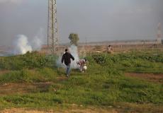 أراضي زراعية متضررة من الاحتلال - أرشيف