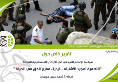 الهيئة الدولية لدعم حقوق الشعب الفلسطيني 