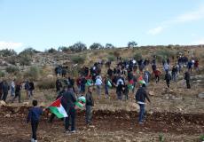 مواطنون يزرعون أشجارا في الأراضي المهددة بالاستيلاء جنوب شرق طولكرم