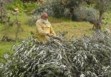 مستوطنون / ارشيفية