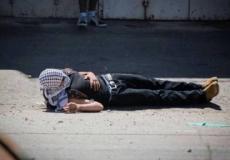 الشهيد نديم نوارة