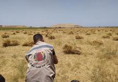 هندسة المتفجرات في شرطة غزة 