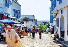 فيديو ملكة الدريدي تشعل غضب التونسيين