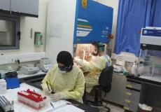 فحوصات كورونا