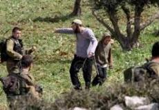 مستوطنون يقتلعون أشجارا مثمرة غرب سلفيت ارشيف