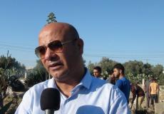 أحمد أبو هولي 