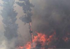 حريق في غلاف غزة بفعل طائرة ورقية