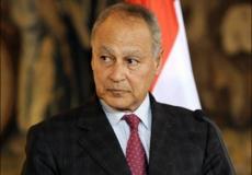 احمد ابو الغيظ