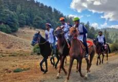 لدورة الثانية لسباق القدرة والتحمل للخيل