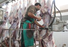 شاب في مسلخ 