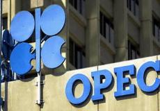 أوبك: ينبغي تعزيز الاستثمارات في قطاع النفط العالمي