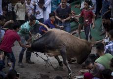 أجواء عيد الأضحى في مصر