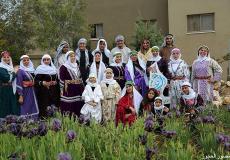 موسم إزهار  النبتة الوطنية لفلسطين سوسنة فقوعة