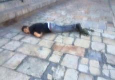 صورة الشهيد