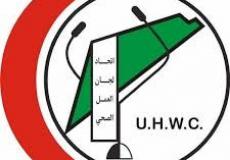 لجان العمل الصحي يعقد دورة حول الإعاقة والصحة الإنجابية