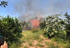 حريق في غلاف غزة - ارشيفية