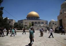المستوطنون يقتحمون ساحات الأقصى بحماية مشددة من الشرطة 