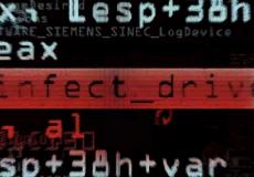 الفيروس شامون