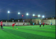 الملاعب المعشبة