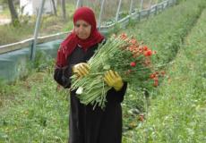 مرأة تعمل مزارعة -توضيحية-