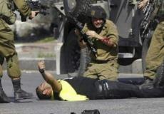 الاحتلال يعدم فلسطينيا