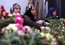 عمل النساء  - ارشيفية