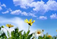 ارتفاع درجات الحرارة