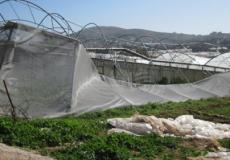 بيوت بلاستيكية مدمرة جراء المنخفض - ارشيف