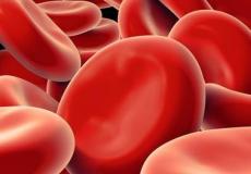 الأطعمة تساهم في زيادة مذهلة لنسبة الصفائح الدموية