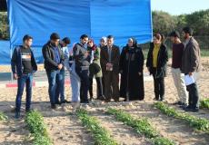 محطة المشاهدات الخاصة بالإغاثة الزراعية وسيلة لتعميم التجارب في القطاع