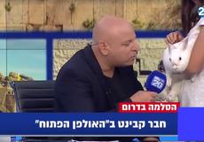 أرانب في مقابلة على تلفزيون إسرائيلي بسبب غزة
