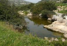 محميات طبيعية فلسطينية