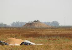 الحدود الشرقية لقطاع غزة