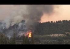 اندلاع حريق كبير في أراض مفتوحة بين مدينة الطيبة وشاعر افرايم