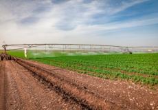 أراض زراعية في منطقة غلاف غزة