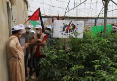 العمل الزراعي وحركة طريق الفلاحين الفلسطينية ينفذان زيارة تضامنية لمزارعي الدفيئات الزراعية برفح
