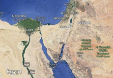 الخطة الأمريكية للسلام  - صفقة القرن (توضيحية)