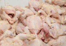 ضبط محل لبيع دواجن فاسدة بالوسطى