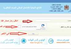 أعلى نقطة .. نتائج الدورة العادية لامتحانات البكالوريا 2020 في المغرب