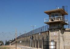 سجن الجلبوع