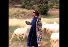 الفنانة احلام ترعى الغنم في السعودية