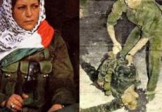 دلال المغربي