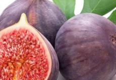 شاهد: مقطع فيديو عربية التين يثير جدلا واسعا في مصر - ما قصته