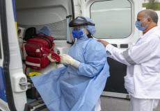 كورونا هولندا