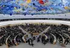 مجلس حقوق الإنسان