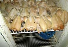 وزارة الصحة والضابطة الجمركية تغلقان مطعمين في الخليل